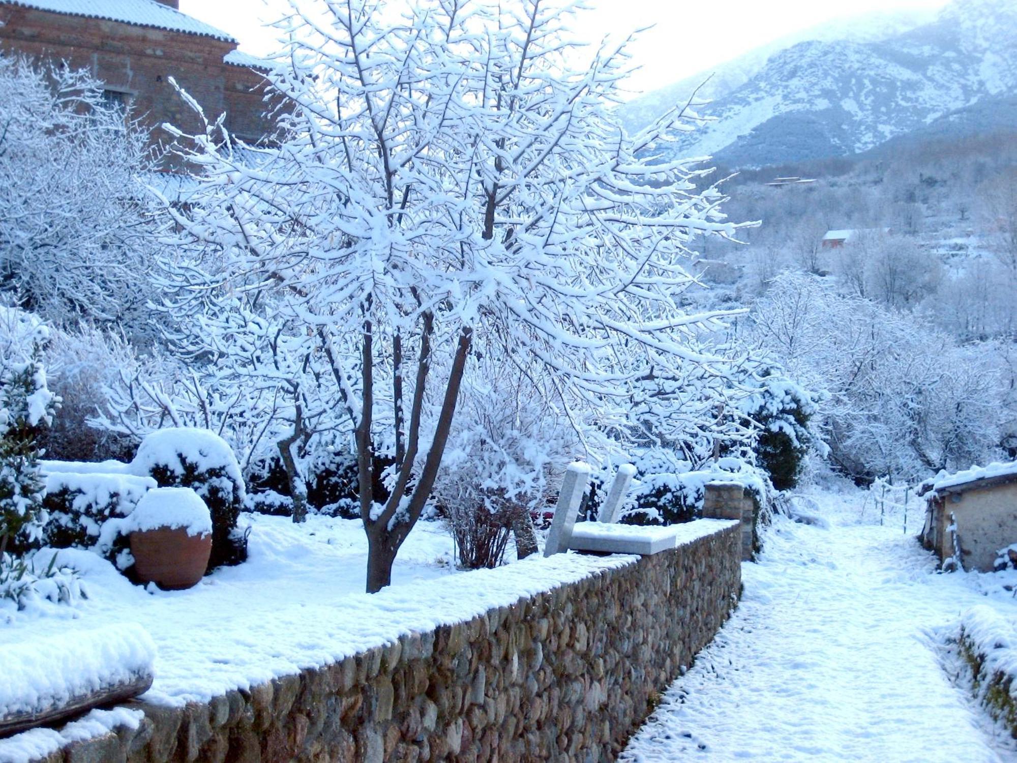 El Jardin Del Convento, Casa Rural Hervás Kültér fotó